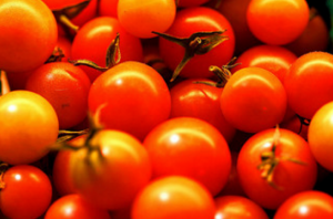Bir ısırgandan domates için yararlı mucize gübre