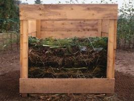 Nasıl yetkin iyi kompost yapmak