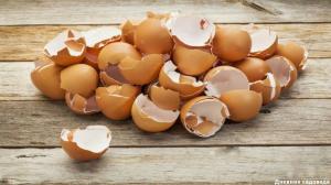 Yumurta kabuğu: sonbahar bahçesinde 3 faydalı uygulamalar