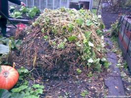 Zamanlarda kompost olgunlaşmasını hızlandırmak