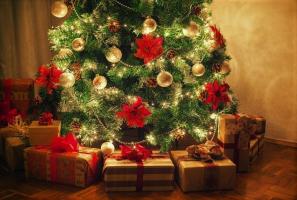 Nasıl Burç dayalı bir Noel ağacı seçmek. 12 seçkin fikirler