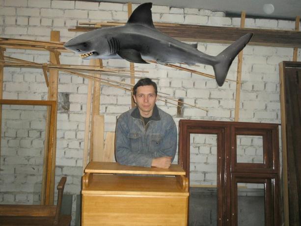 Köpekbalığı servisi Yandex-resimlerden alınır