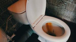 Nasıl hızlı ve kolay bir pas ve sarı plaktan tuvaleti temizlemek için?