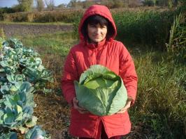 5 önemli şeyler 2019 yılında zengin bir hasat için Ekim ayında bahçede yapılacak