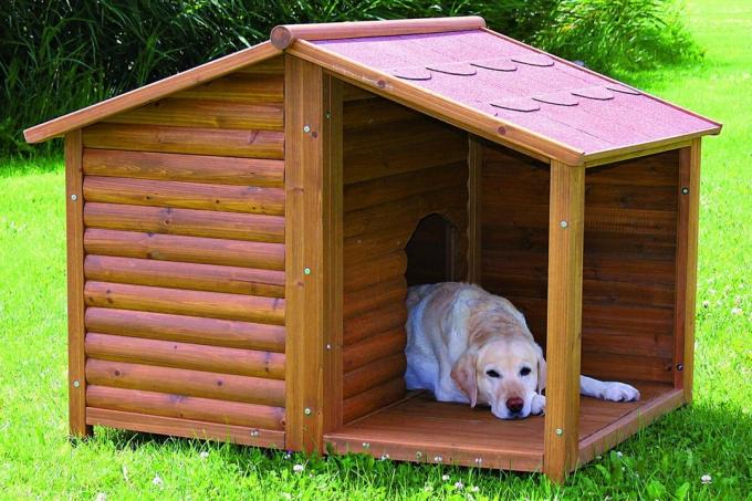 Köpekler için kabinleri yapımında Beşik çatı