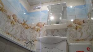 6500 ruble için güzel bitirme banyo plastik paneller