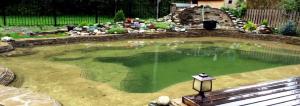 Taş Pond - inşaat ve operasyon tecrübesi