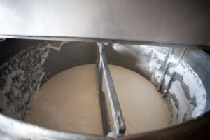 Yavaş yavaş süt fermente süt peynir altı suyu ekleyin. içindekiler pıhtısını karıştırma sonra. 
